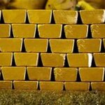 Incursione di Elon Musk a Fort Knox