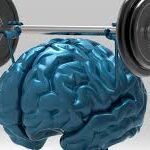 Allenamento della memoria la mente in forma