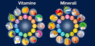 I Micronutrienti le funzioni biochimiche